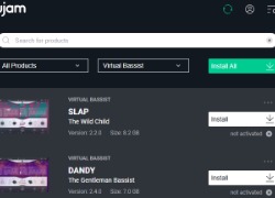 Ujam Virtual Bassist: Rowdy, Slap, Dandy, and Royal